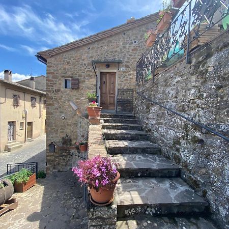 Panoramic Nest In Montalcino Villa Luaran gambar