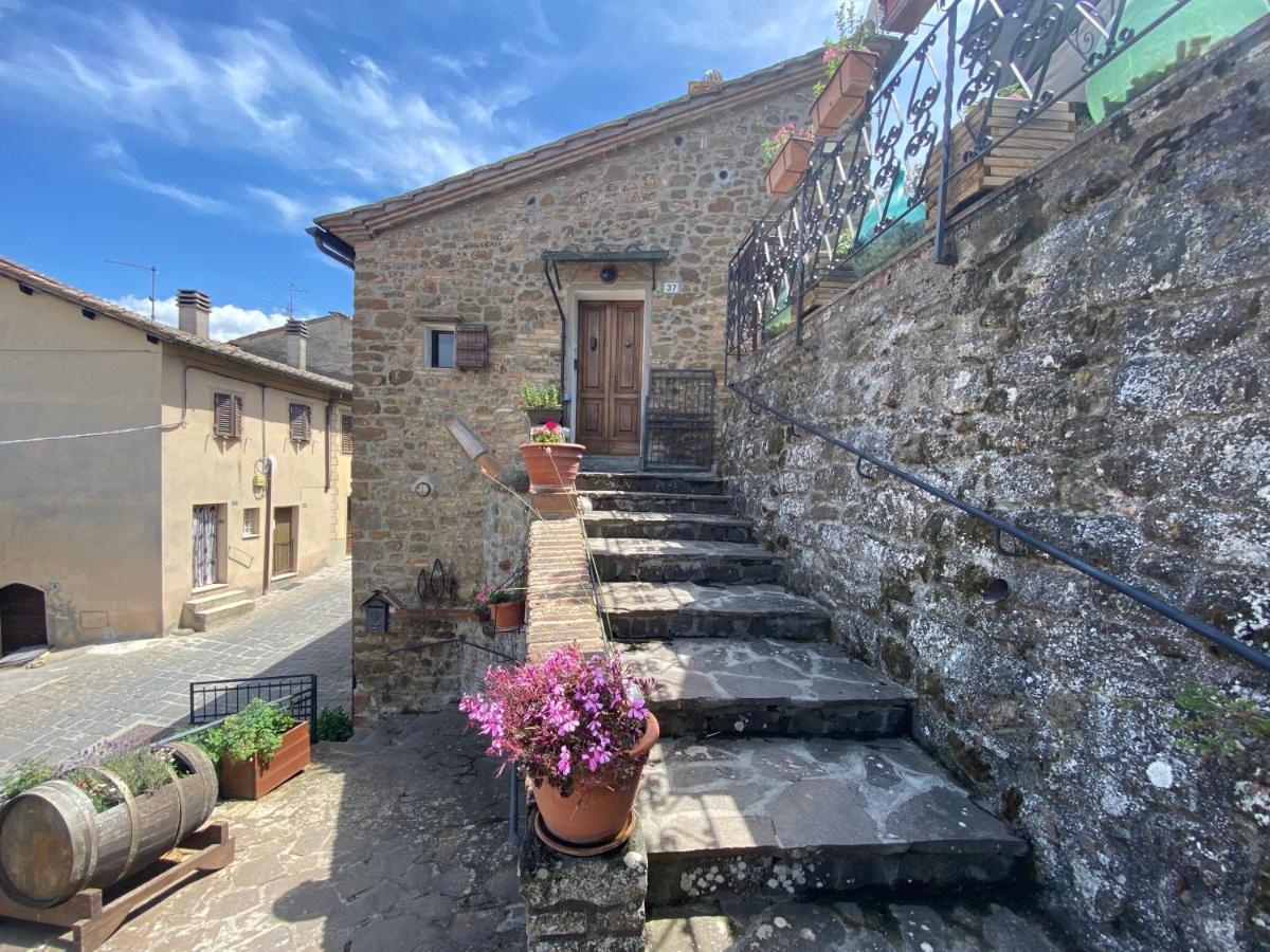 Panoramic Nest In Montalcino Villa Luaran gambar
