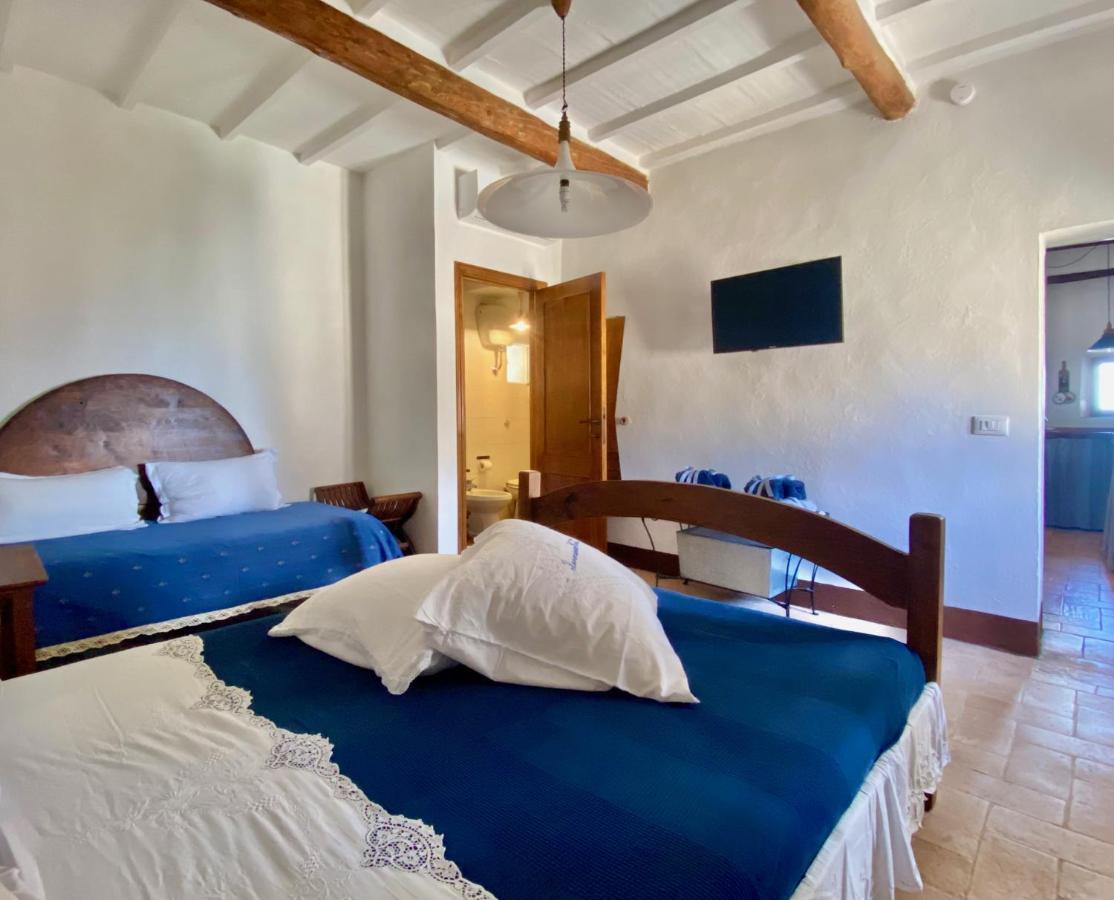 Panoramic Nest In Montalcino Villa Luaran gambar